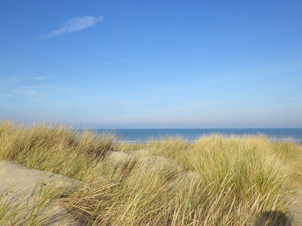 Evancy Etoile Des Dunes 布赖迪讷 外观 照片