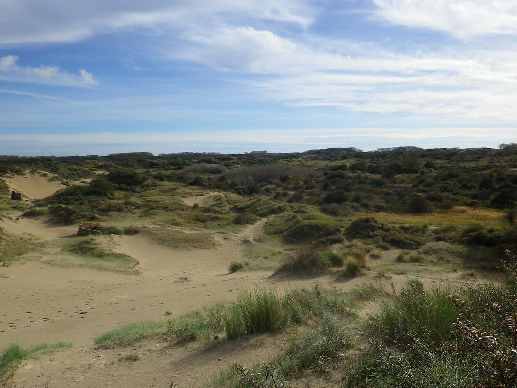 Evancy Etoile Des Dunes 布赖迪讷 外观 照片